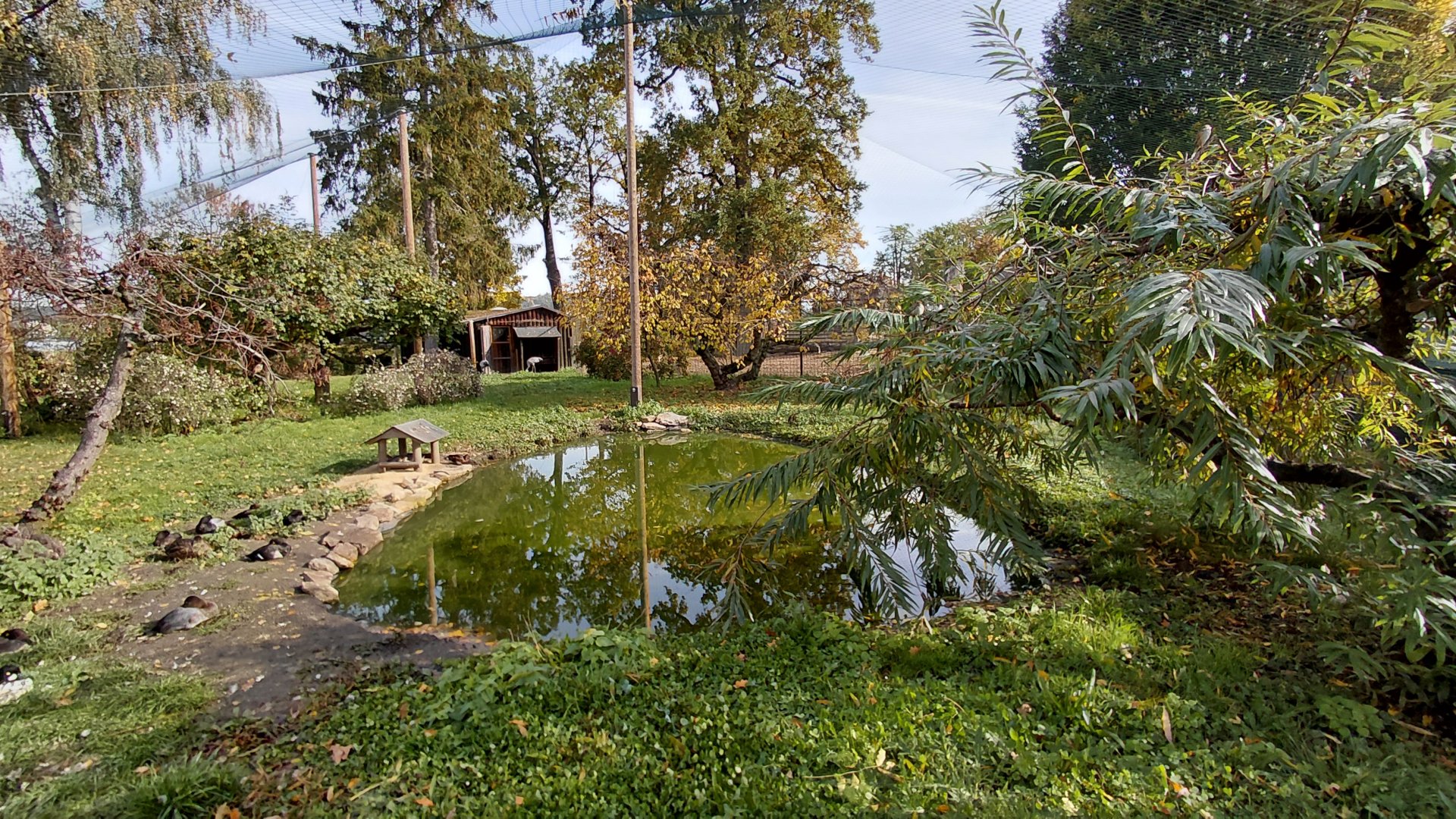 Crane + waterfowl aviary