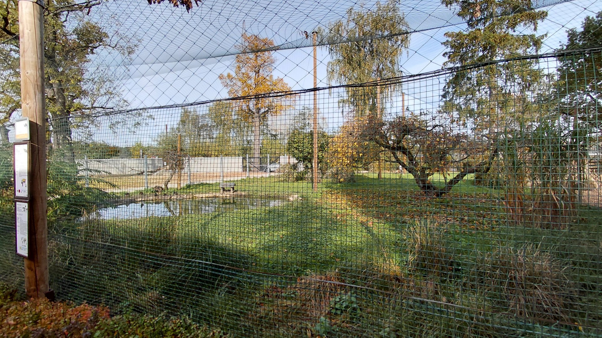 Crane + waterfowl aviary