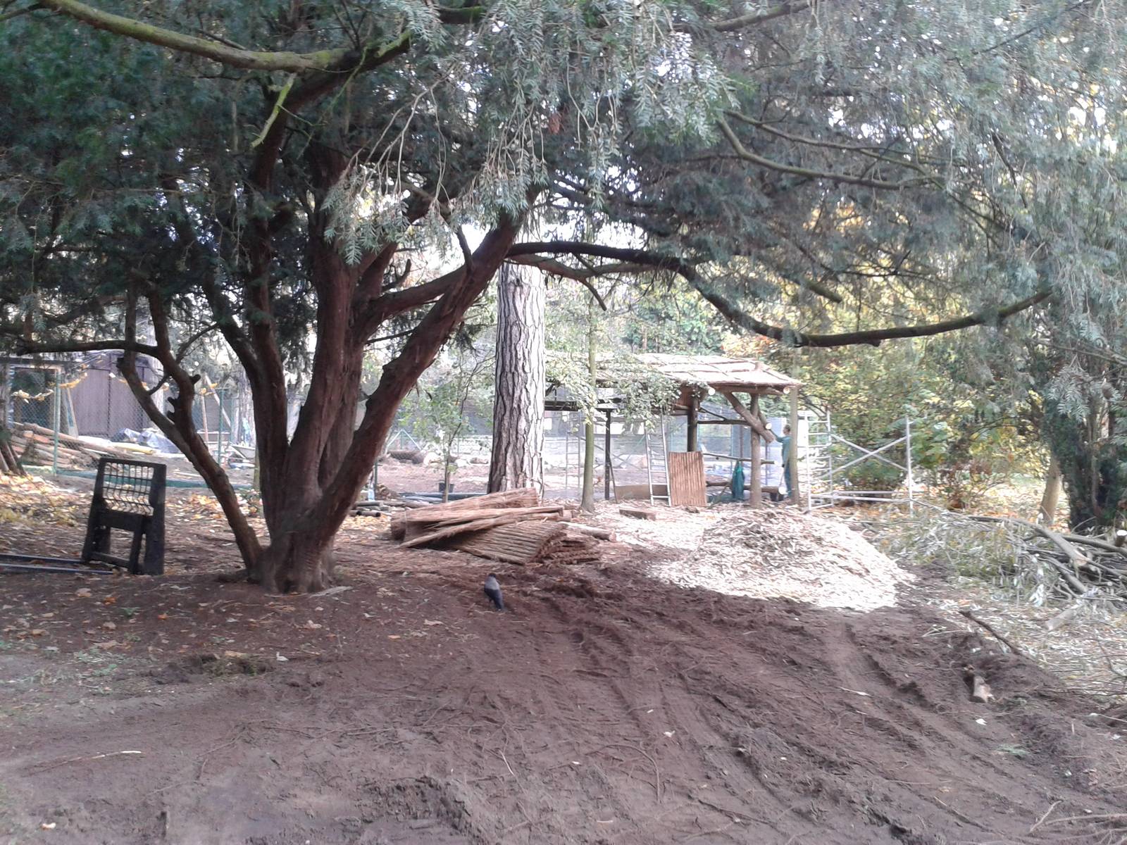 Cranes' aviary - construction site