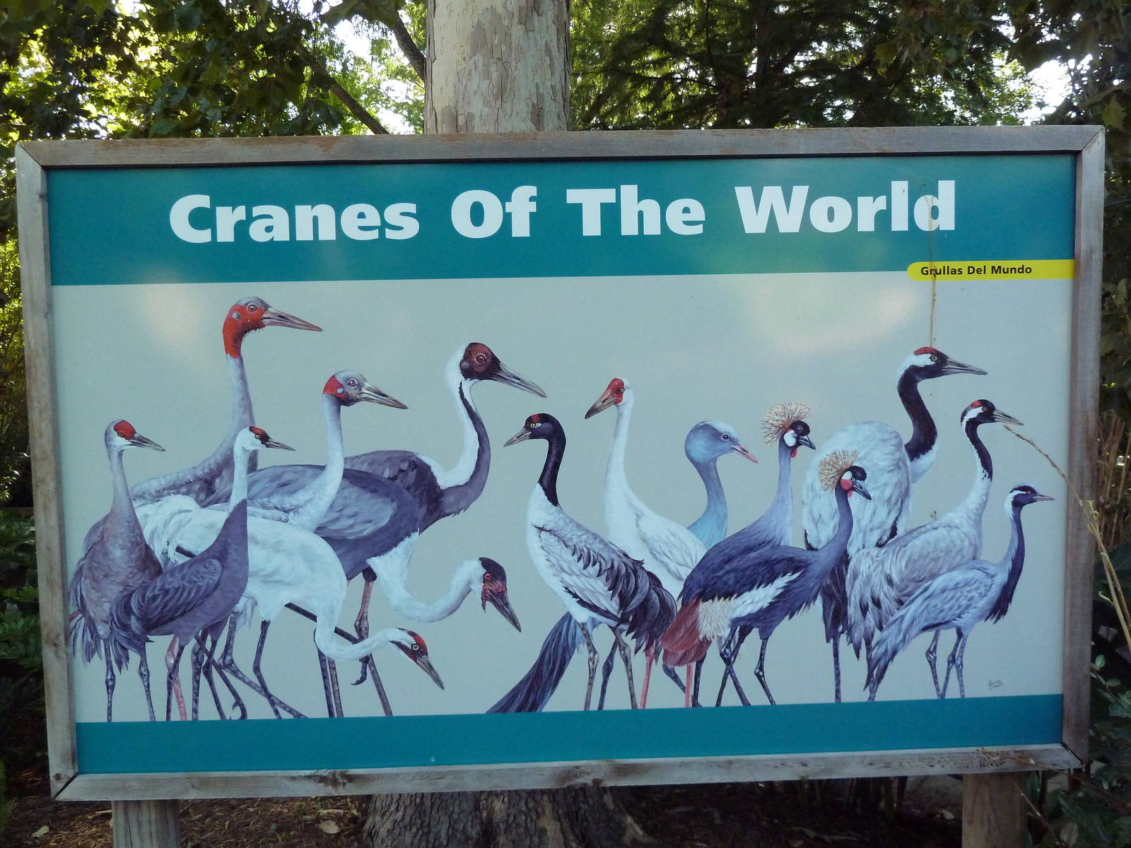 Cranes Of The World - Sign