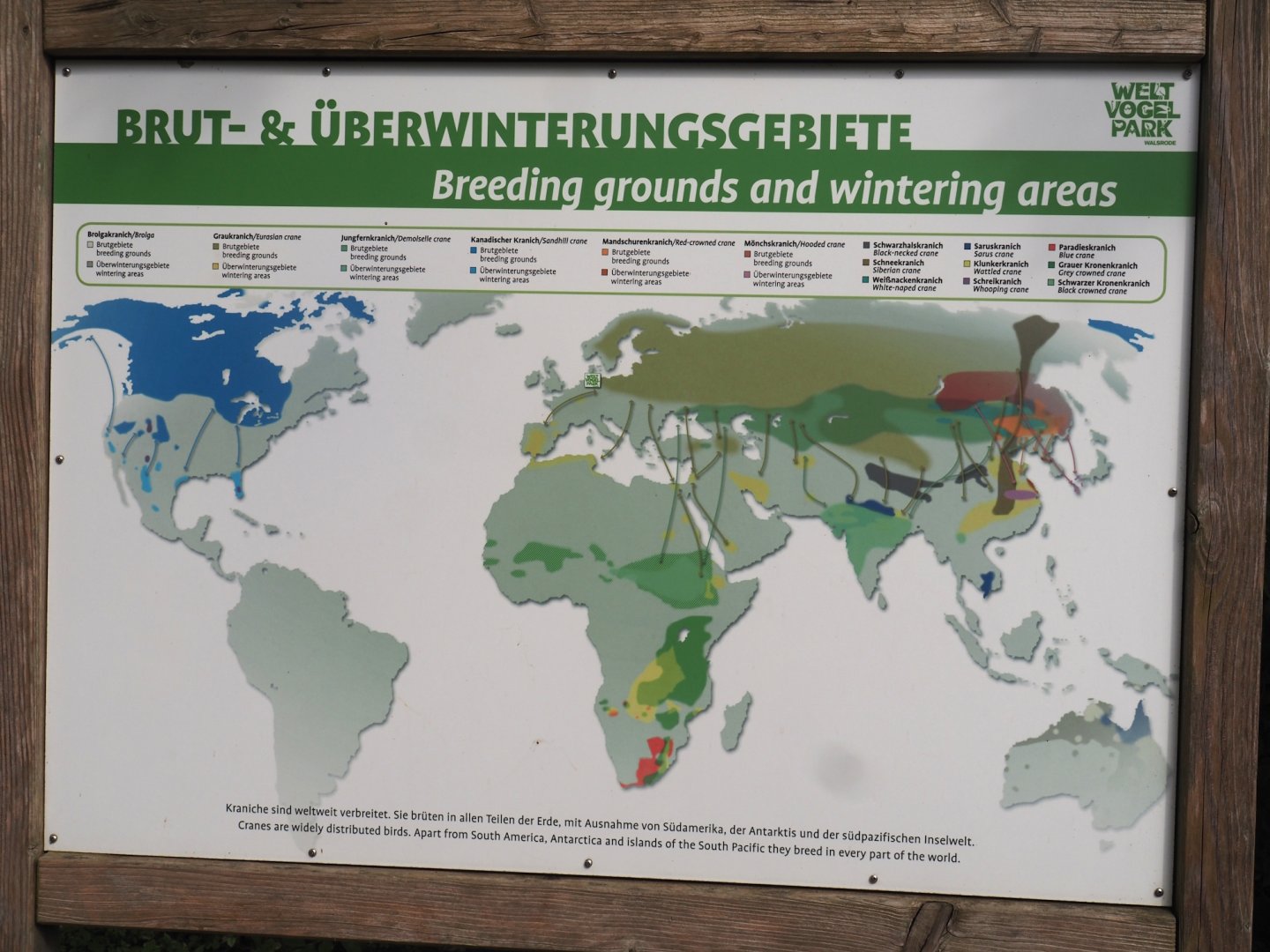 Cranes of the world signage, 2024-05-21