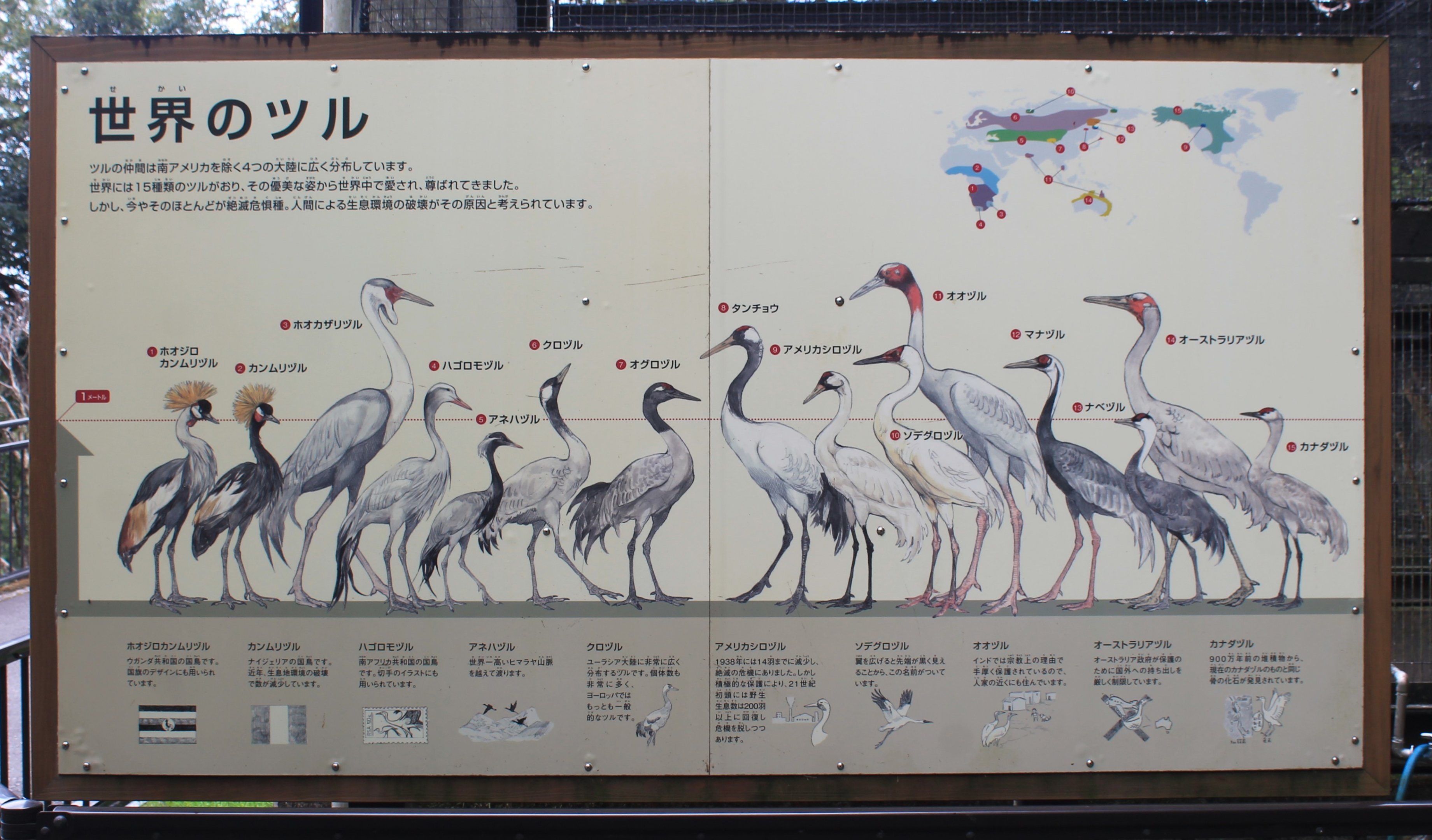 Cranes of the World signage - Hirakawa Zoo (Kagoshima)