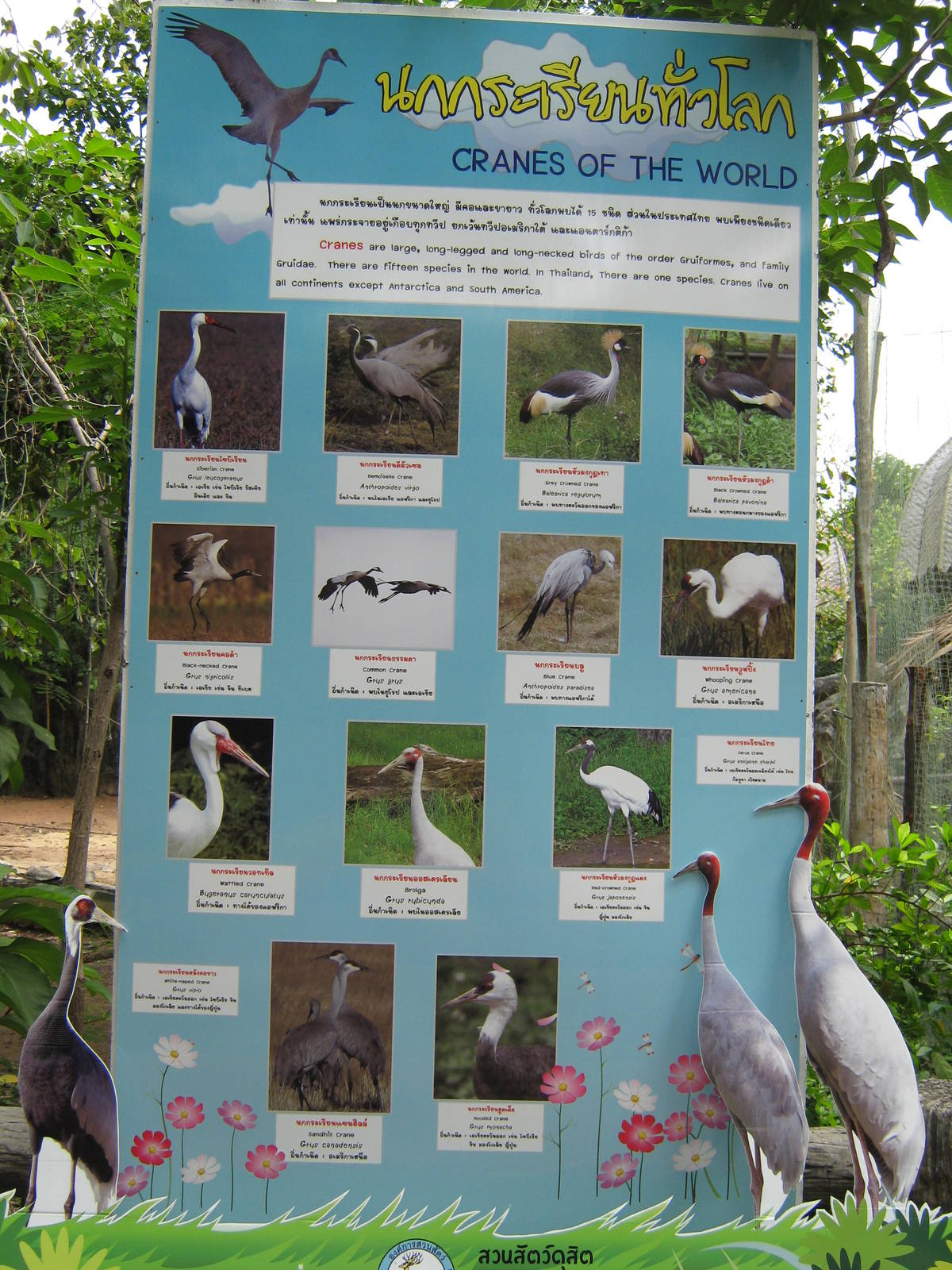 Cranes Of The World signage