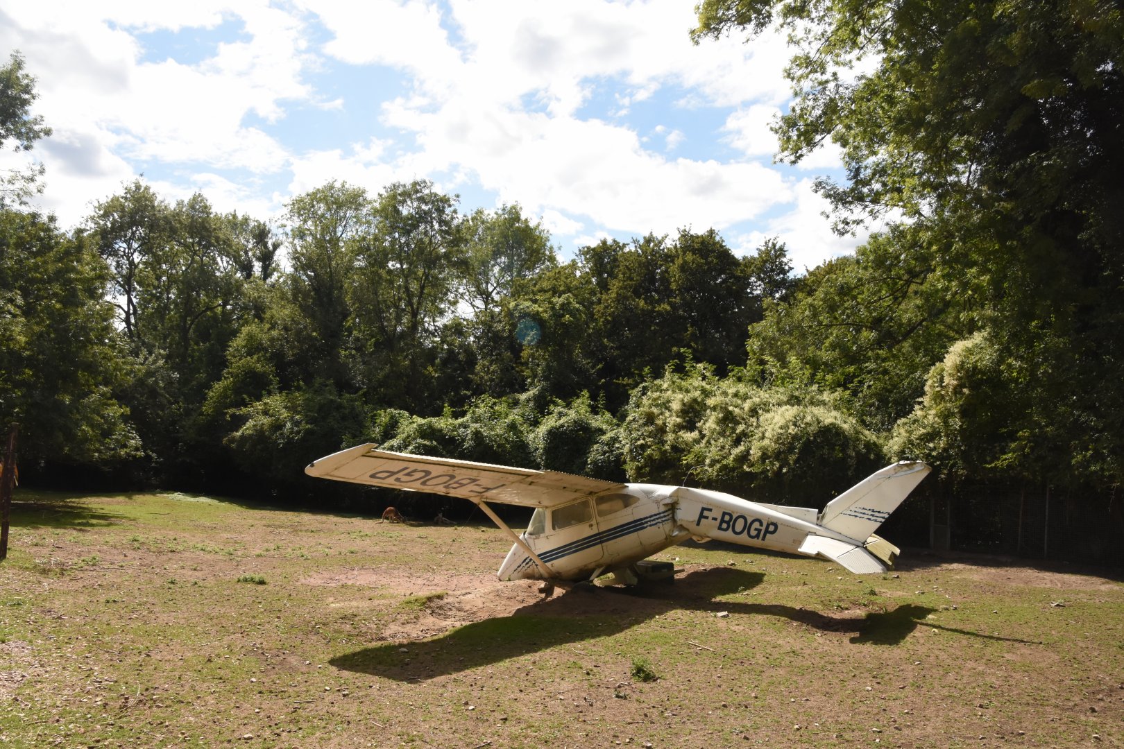 Crashed plane in Australia walkthrough
