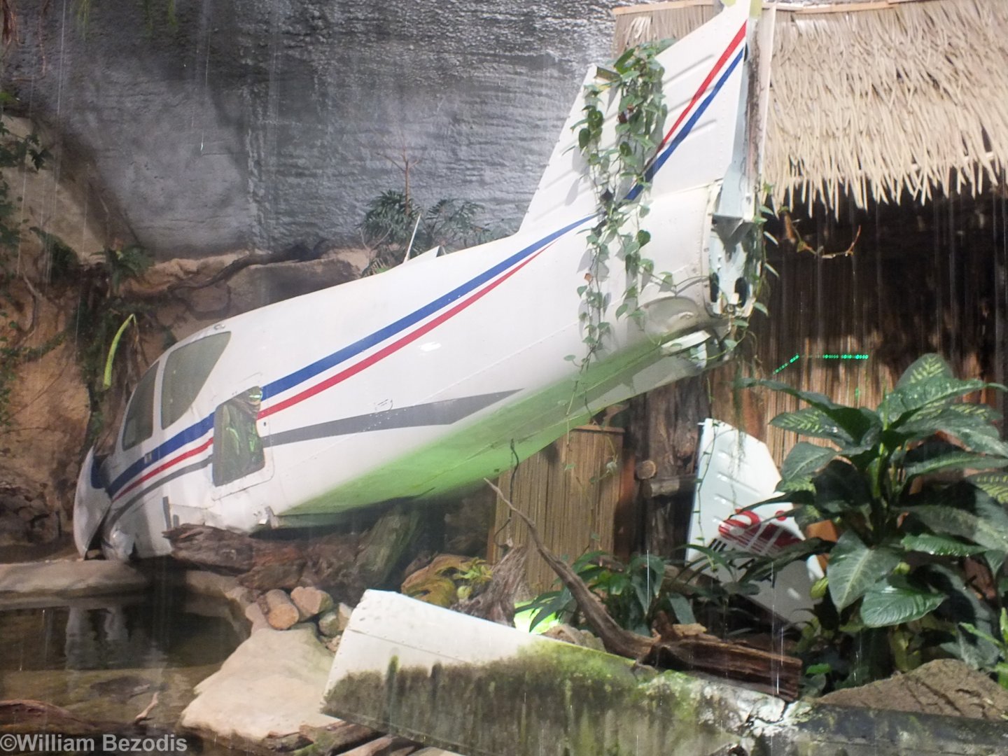 Crashed Plane in the Tropical House