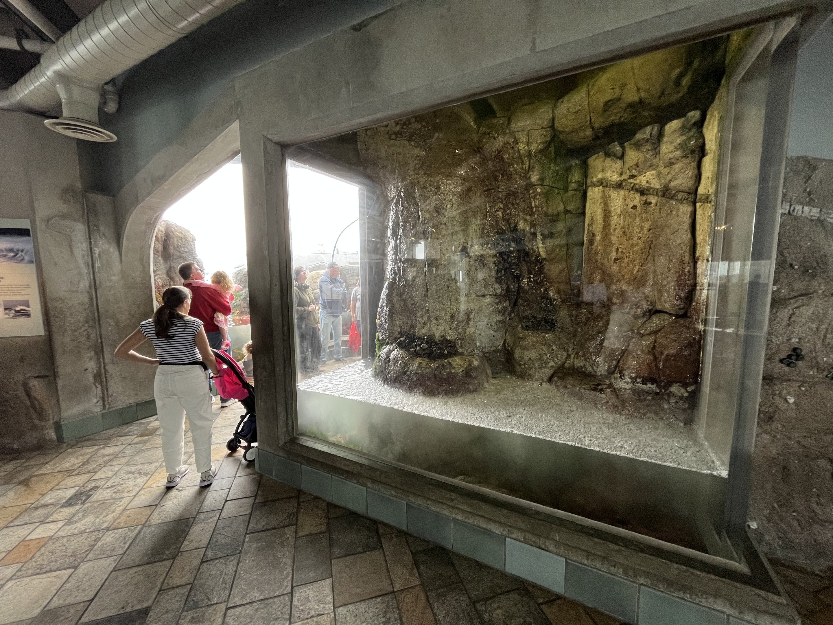 Crashing Wave Exhibit (1 of 2)