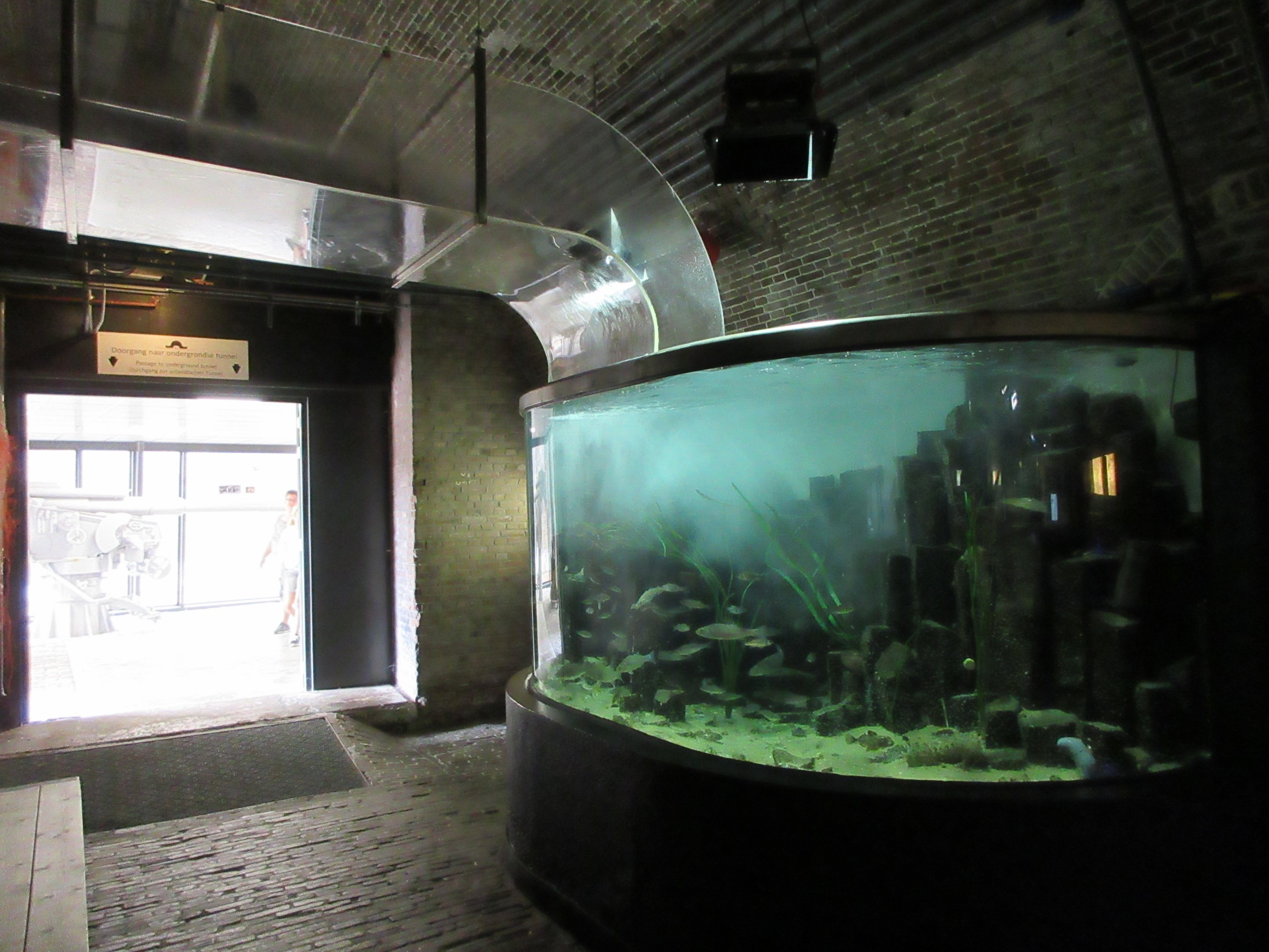 Crashing Waves Tank - After Splash