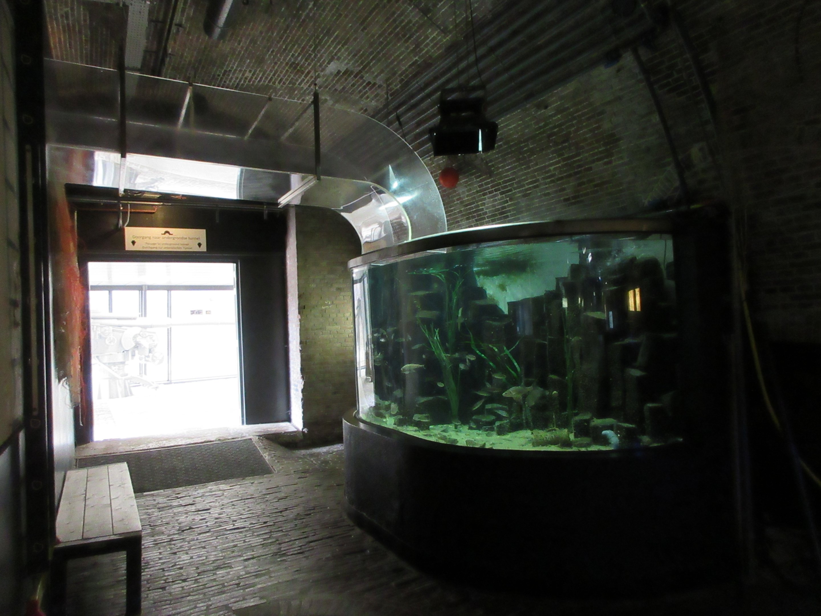 Crashing Waves Tank - Before Splash