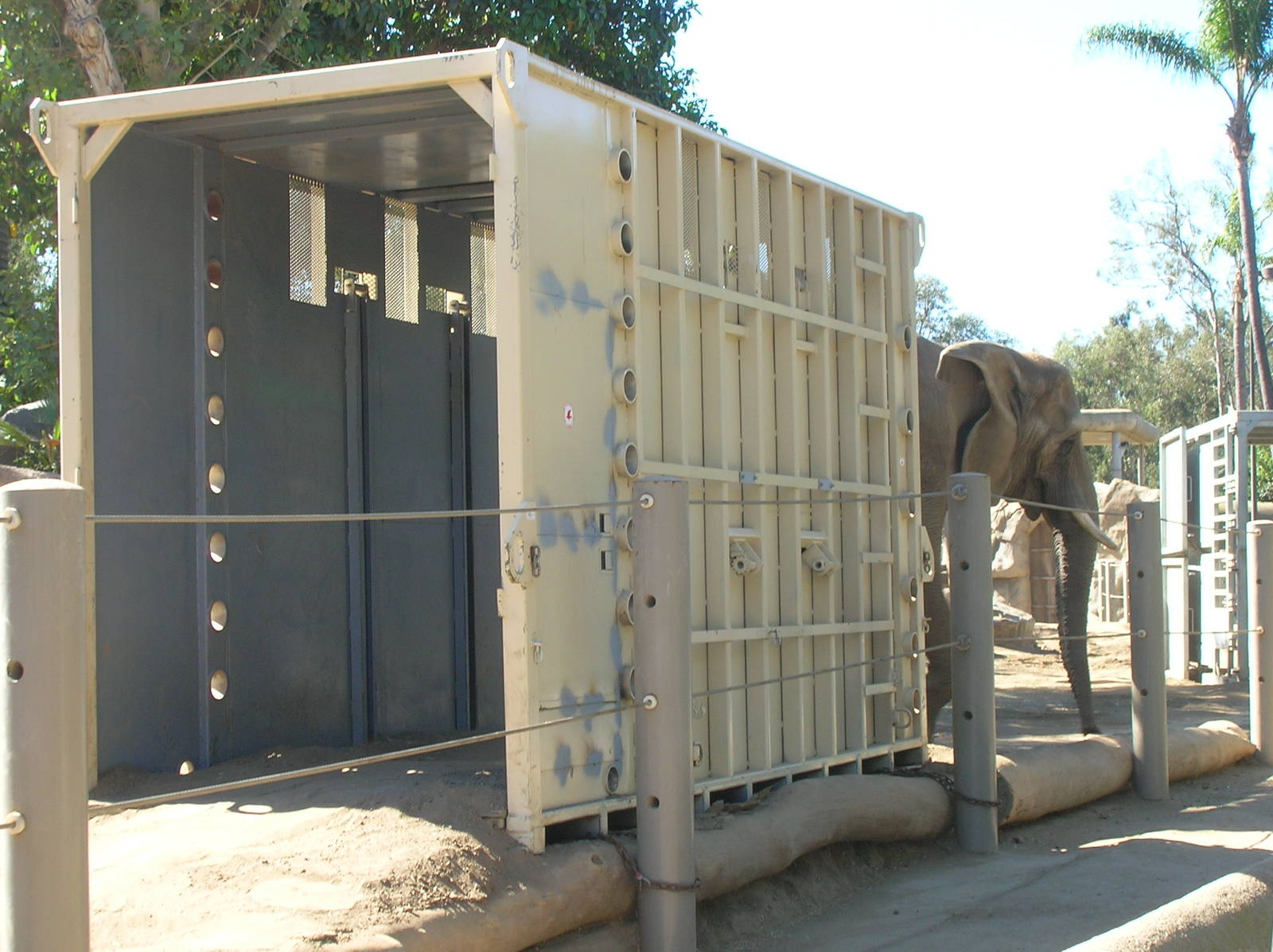 Crate Training 2-4-09