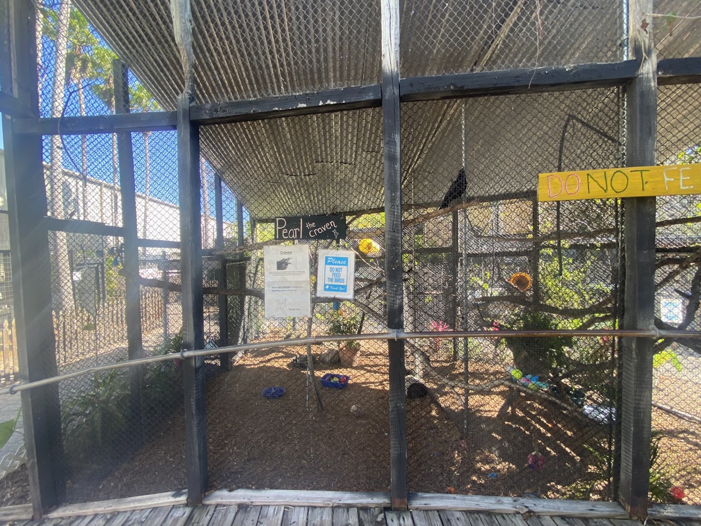 “Craven” Exhibit