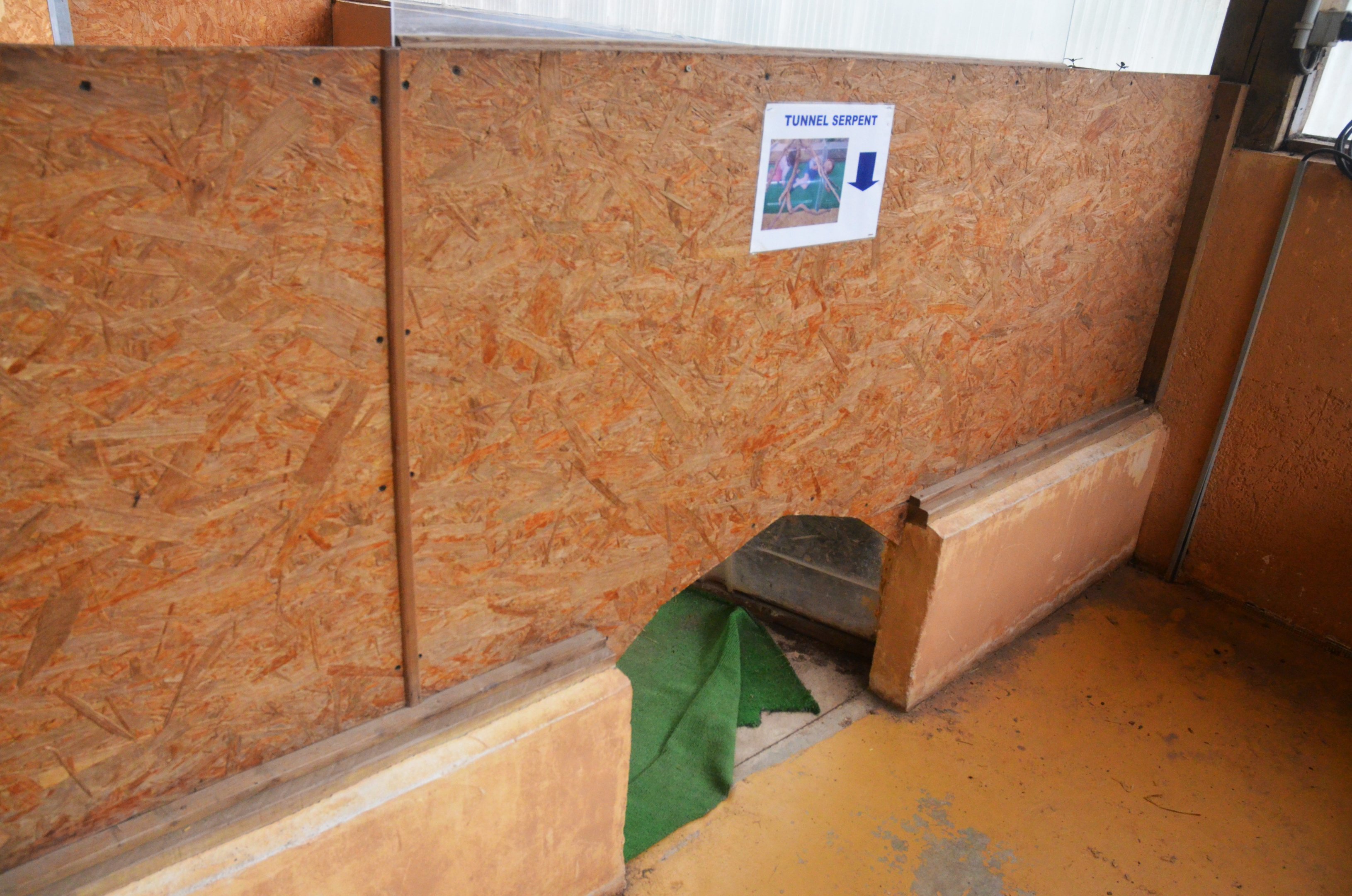 Crawl-through Corn Snake Exhibit in the Vivarium at Spaycific'Zoo, 13/06/18