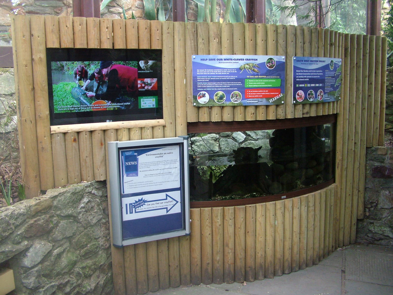 Crayfish Exhibit at Bristol, 06/03/11