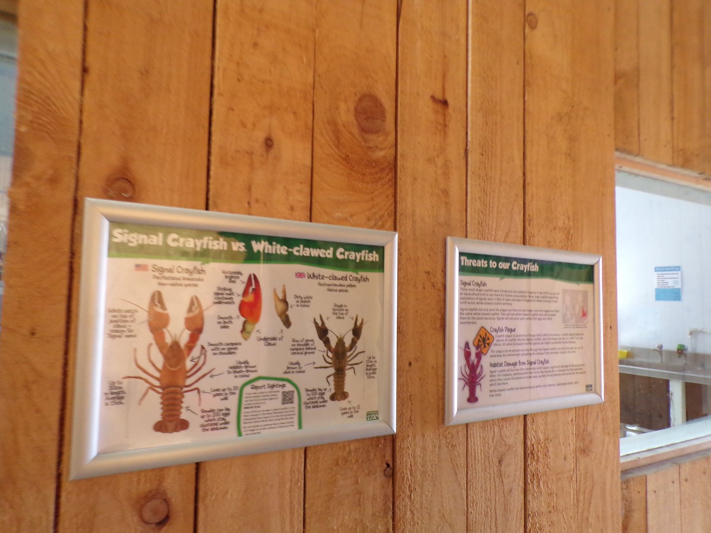 Crayfish signage in the breeding centre 14.10.23