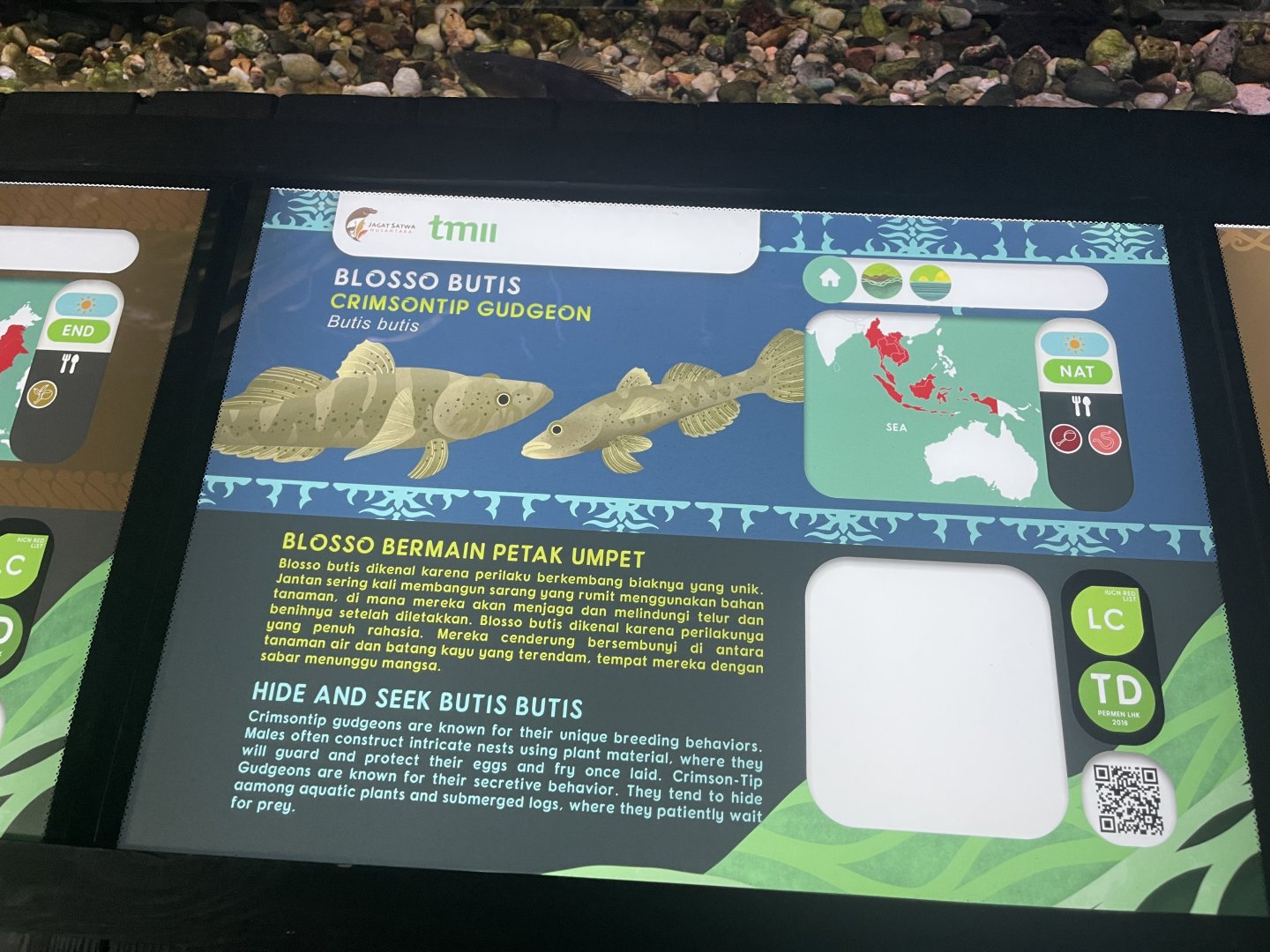 crazy fish signage - dunia air tawar