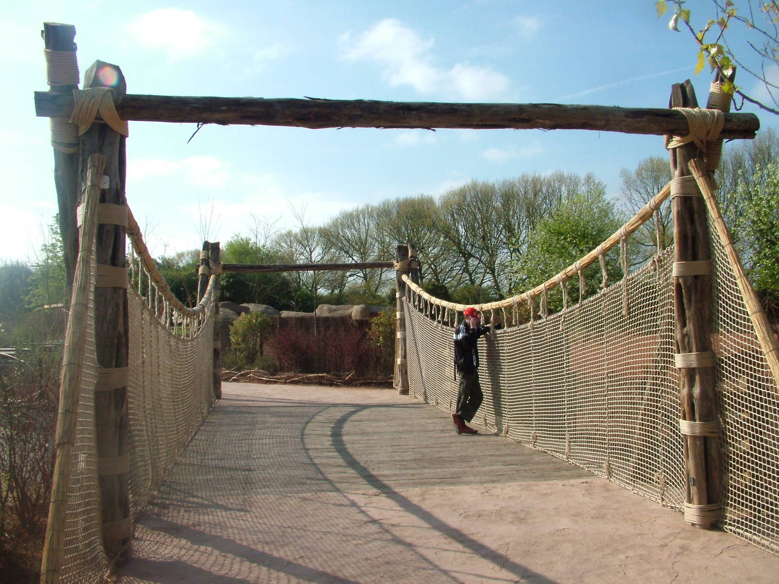 Creaky (!) Bridge, African Wild Dog Exhibit at Chester, 16/04/11