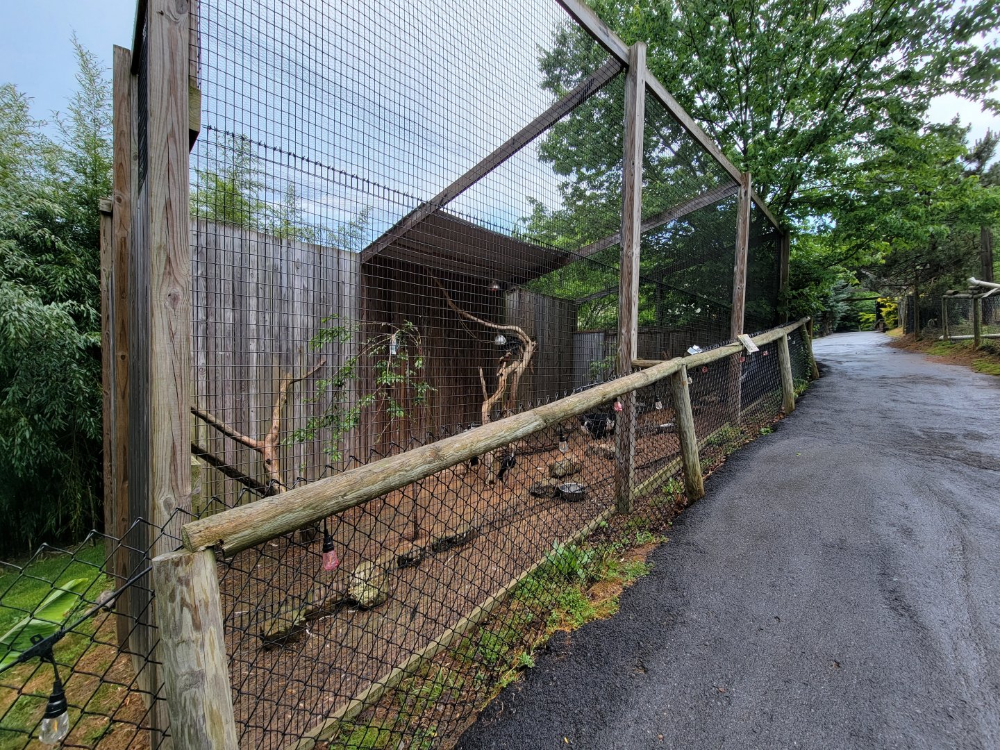 Creation Kingdom - Aviary