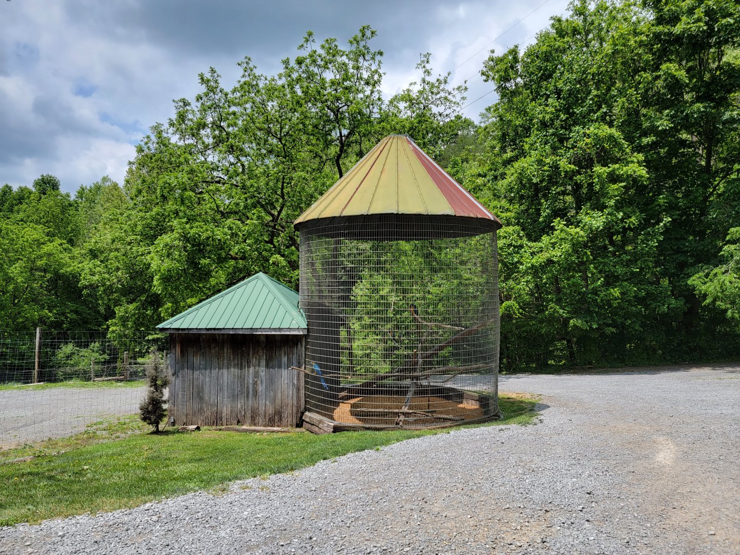 Creation Kingdom - Blue & gold macaws in parking lot