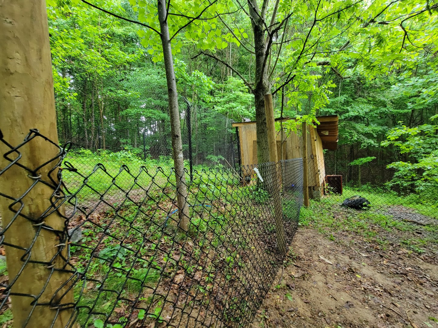 Creation Kingdom - Cheetah house