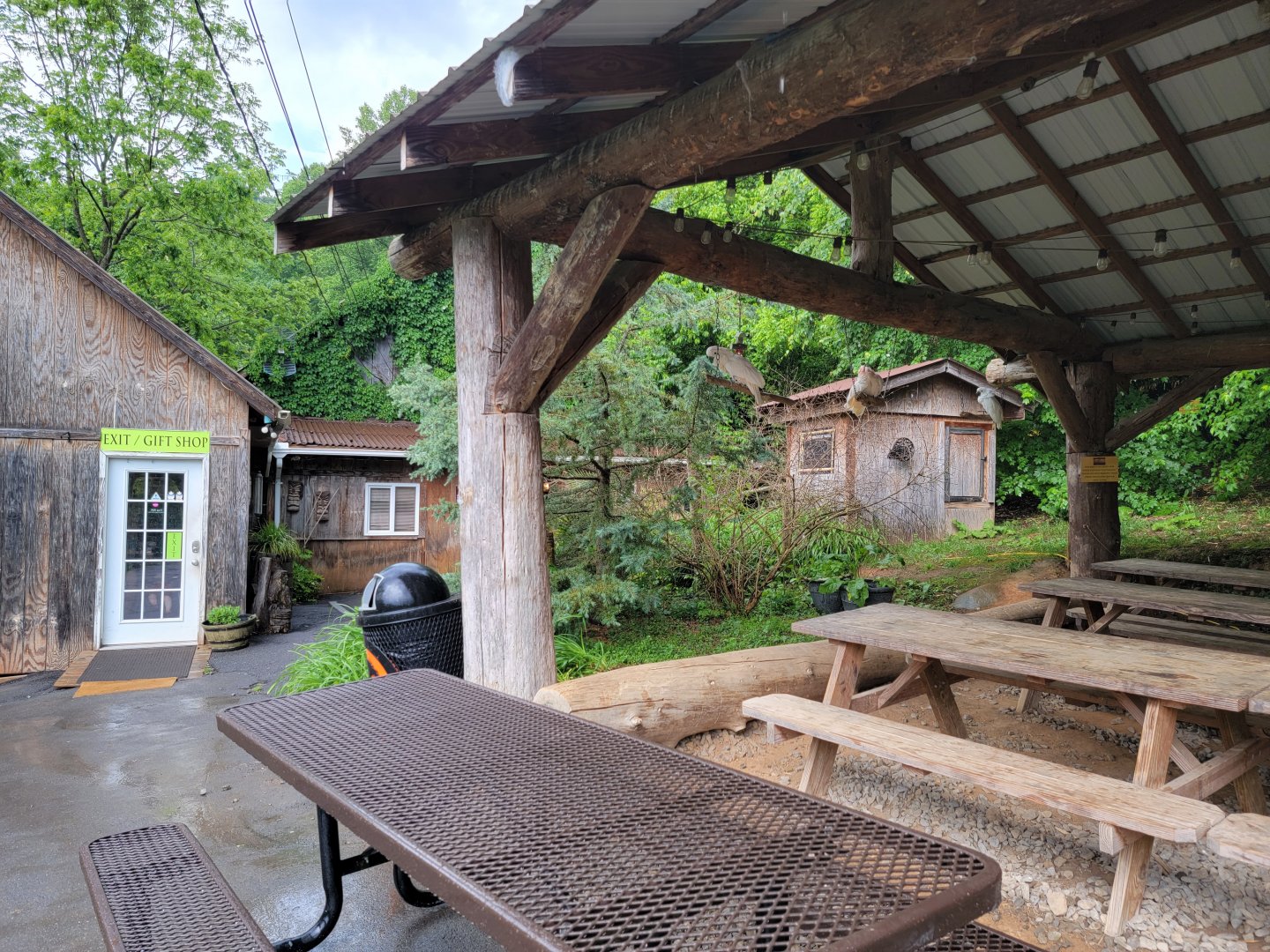 Creation Kingdom - Cockatoos, entrance/exit