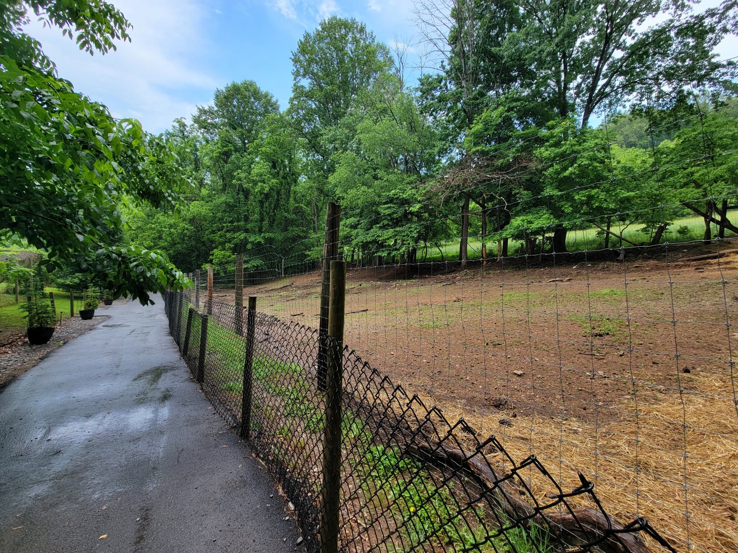 Creation Kingdom - Empty hoofstock yard