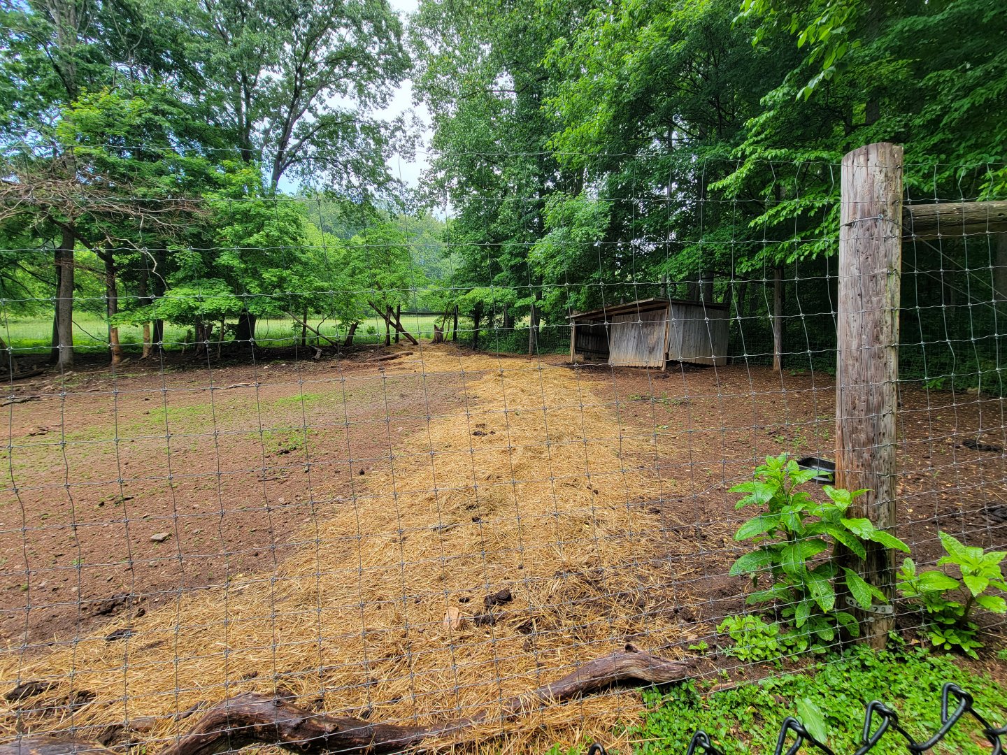 Creation Kingdom - Empty hoofstock yard