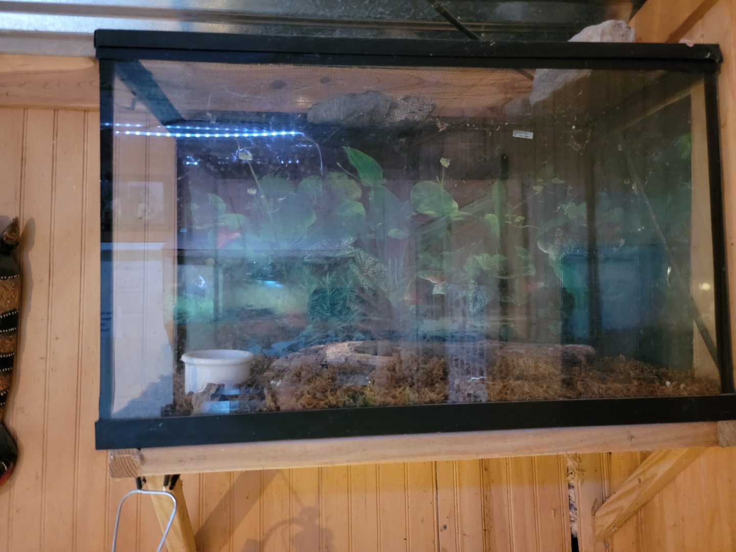 Creation Kingdom - Empty?