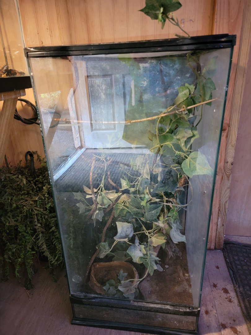 Creation Kingdom - Empty