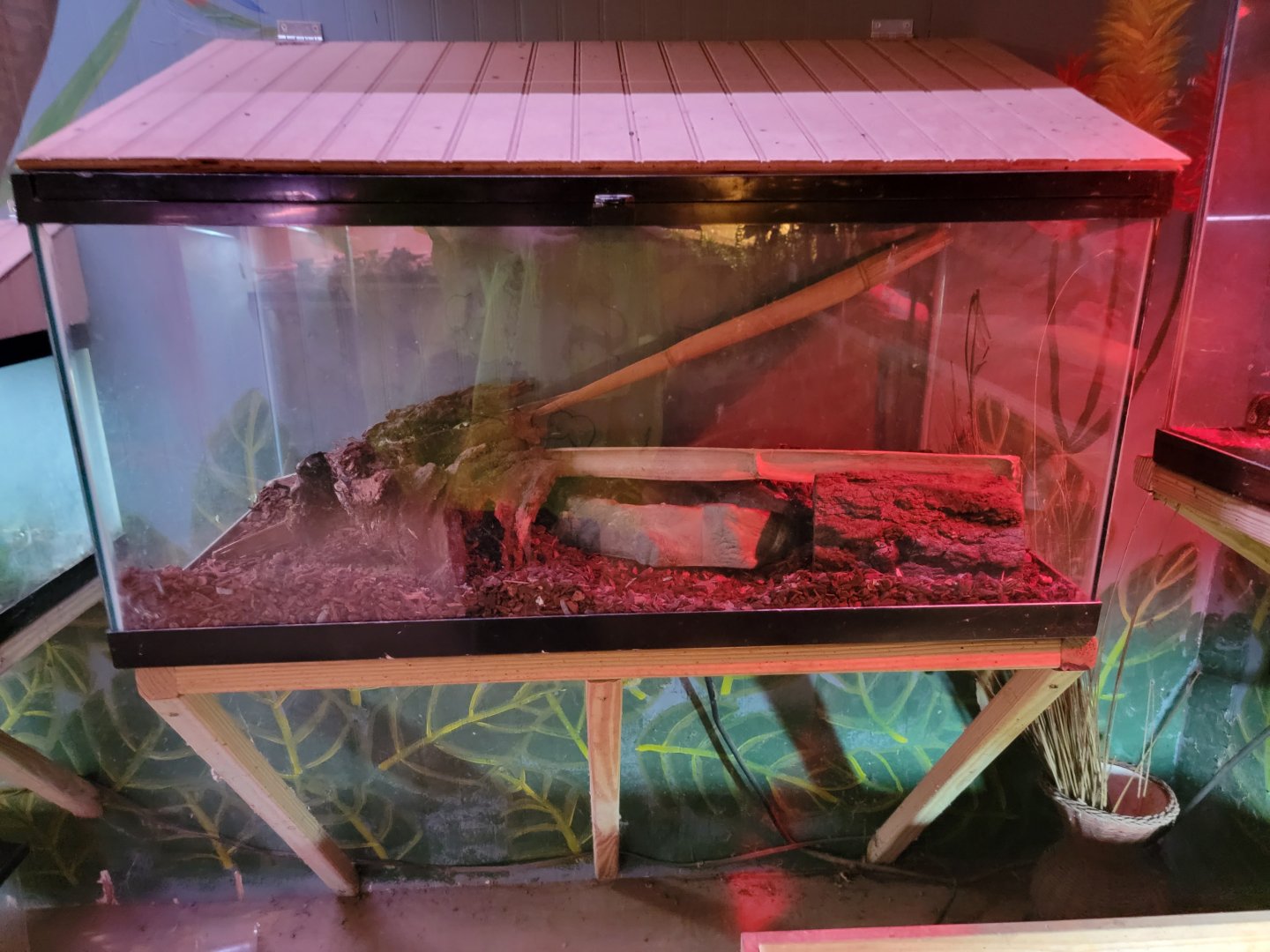 Creation Kingdom - Empty?