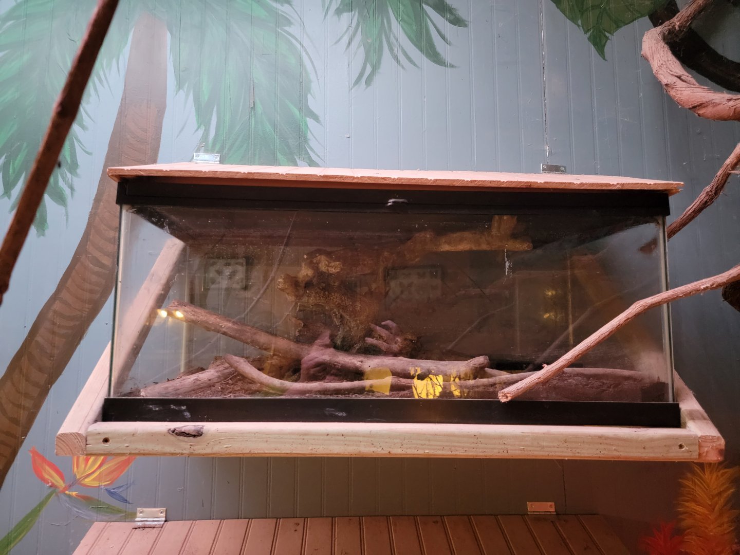 Creation Kingdom - Empty?