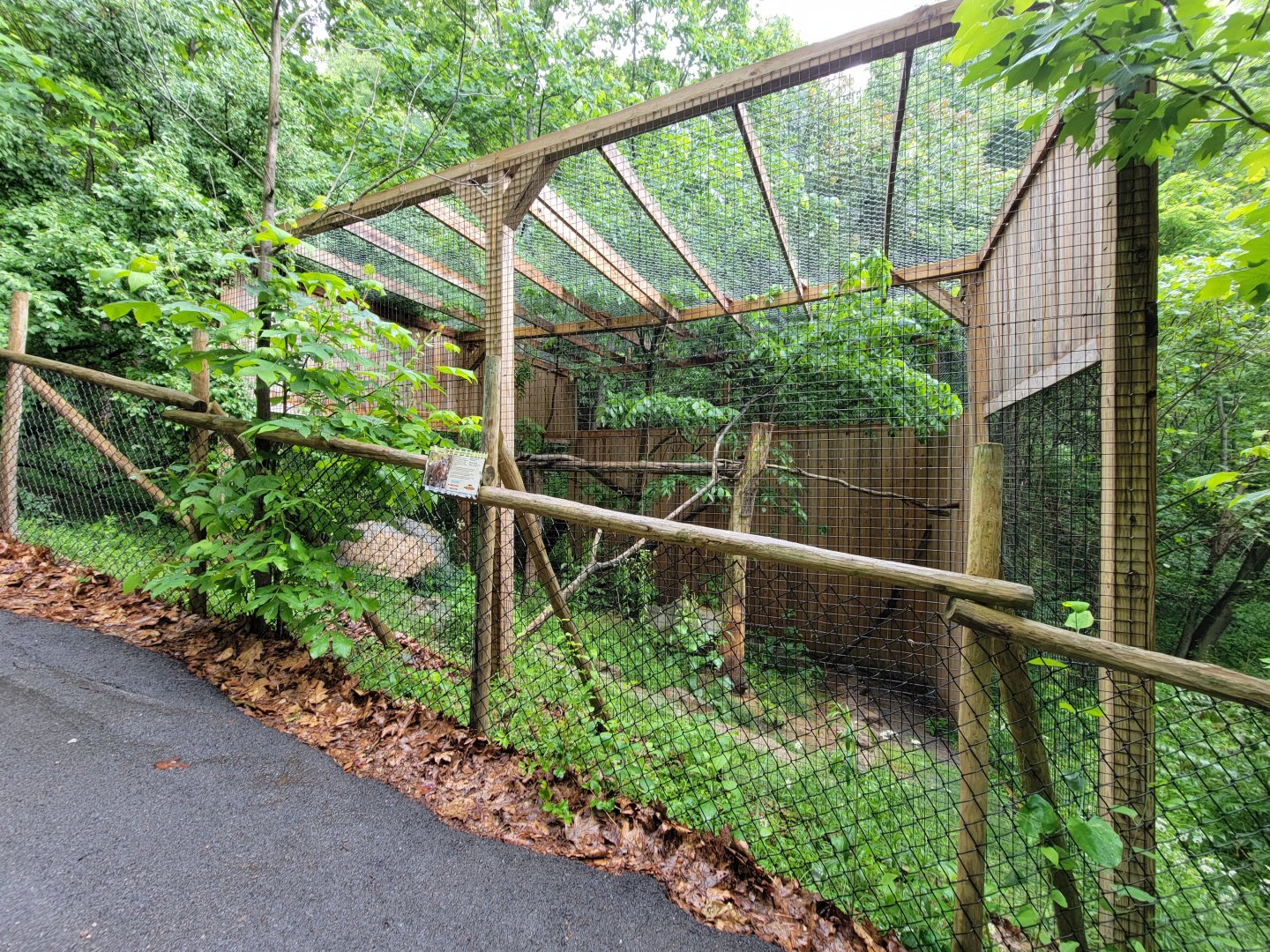 Creation Kingdom - Fossa