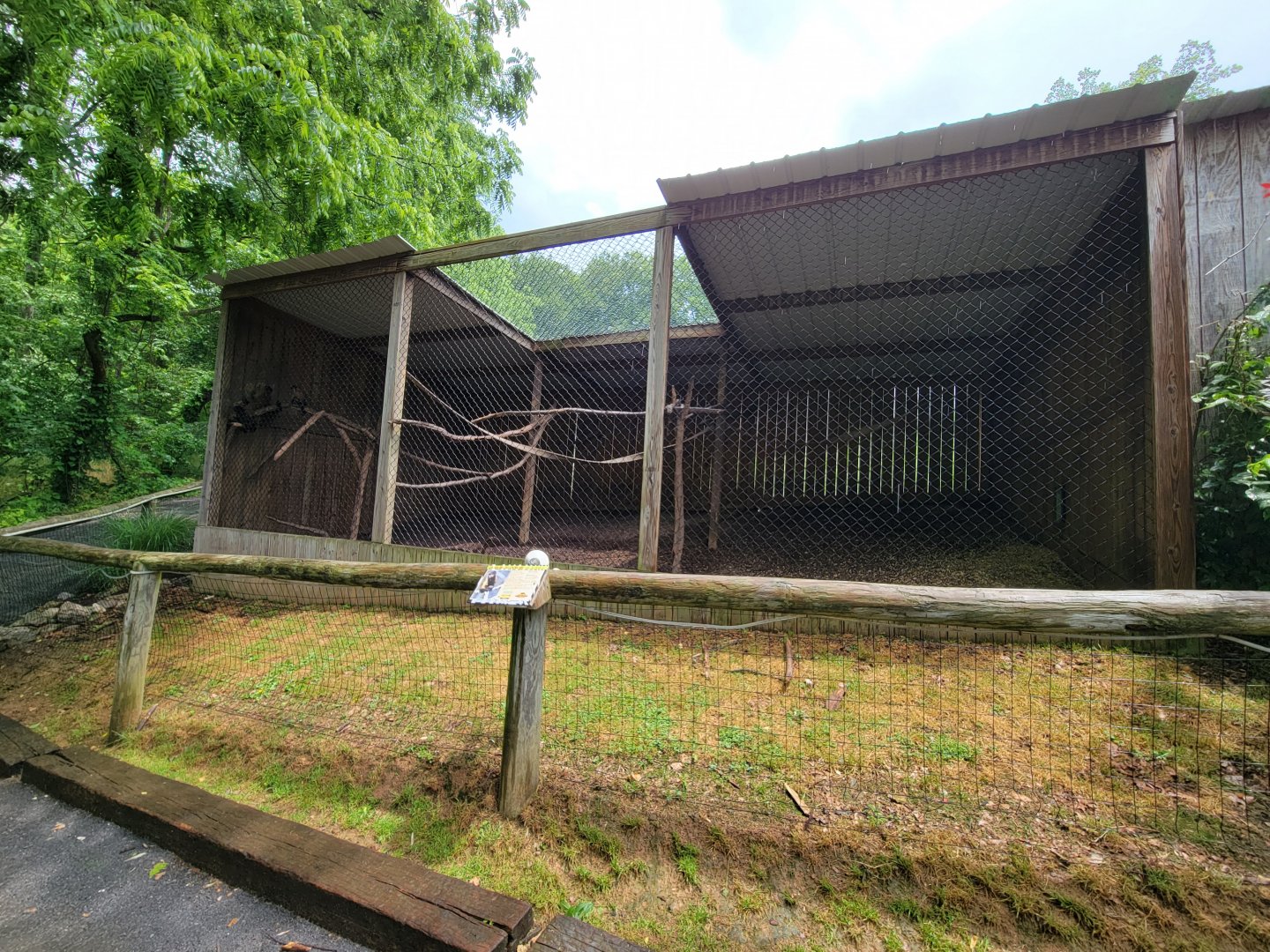 Creation Kingdom - Golden-bellied capuchin