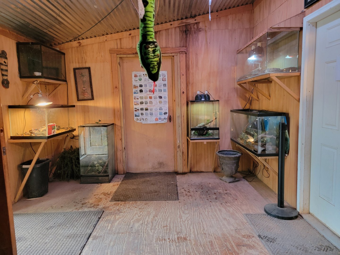 Creation Kingdom - Herp room, other side