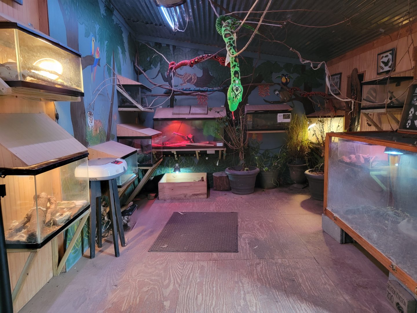 Creation Kingdom - Herp room