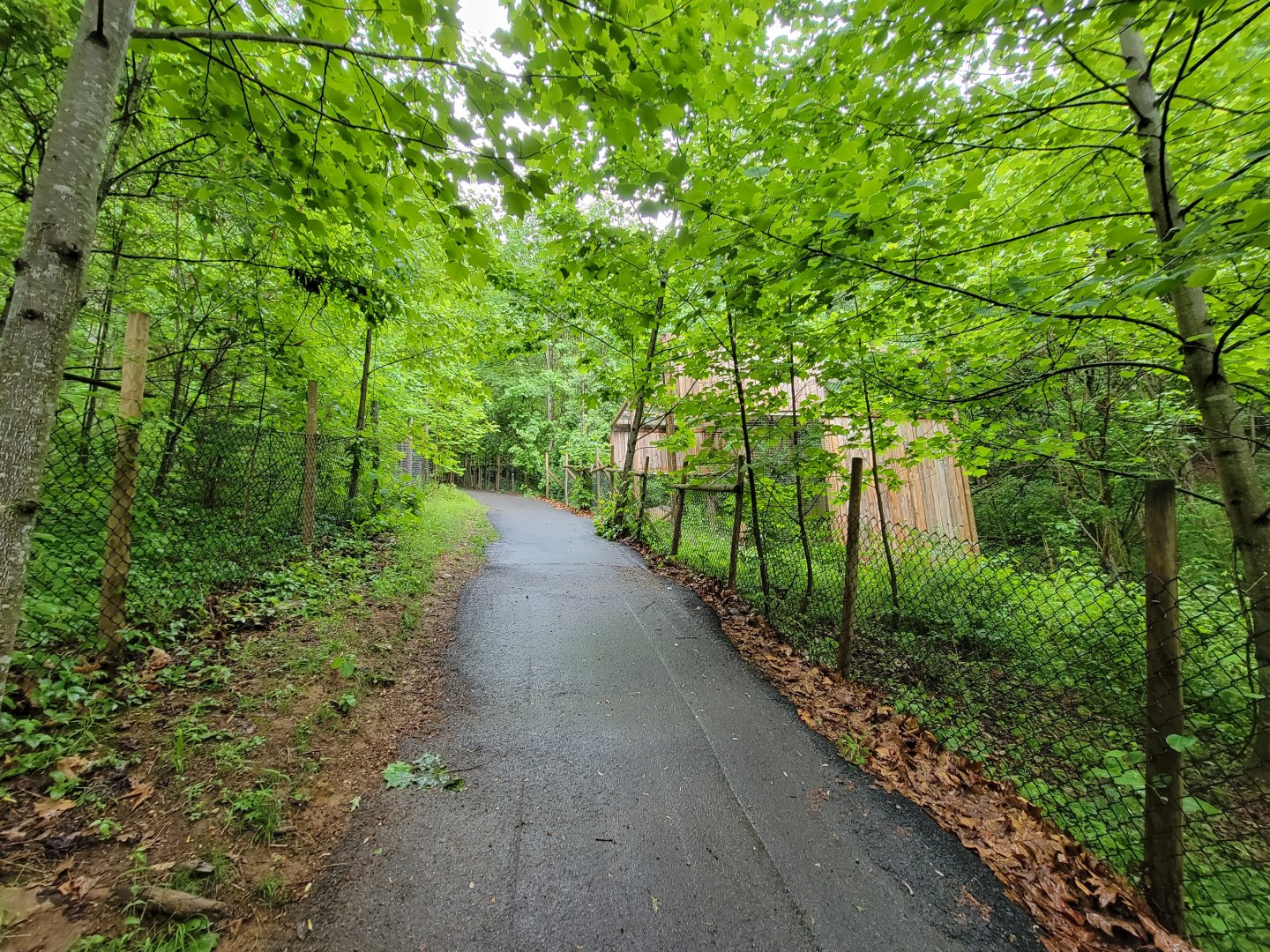 Creation Kingdom - Path, fossa up ahead on right