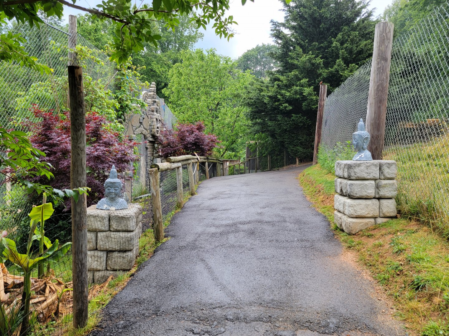 Creation Kingdom - Path, tiger