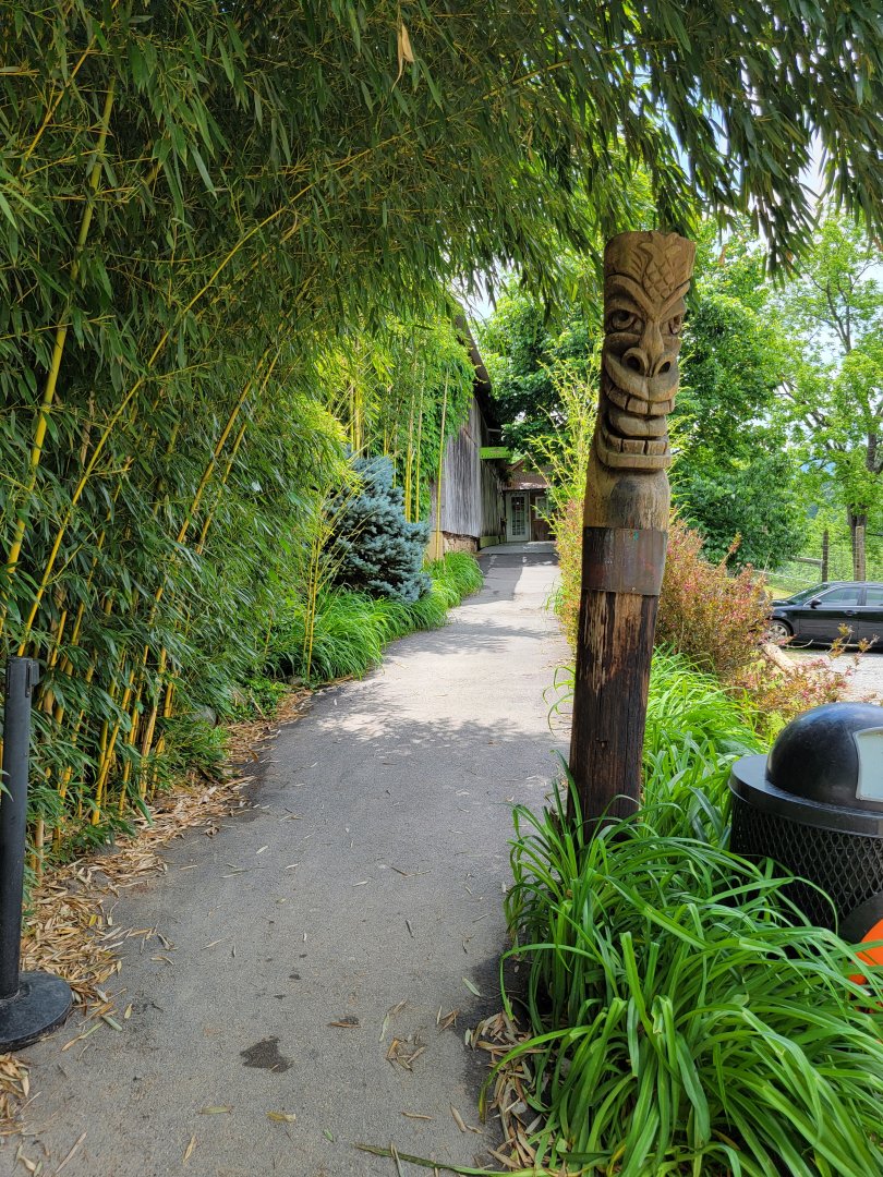 Creation Kingdom - Path to entrance