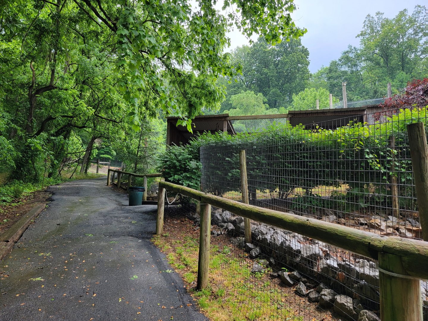 Creation Kingdom - Path