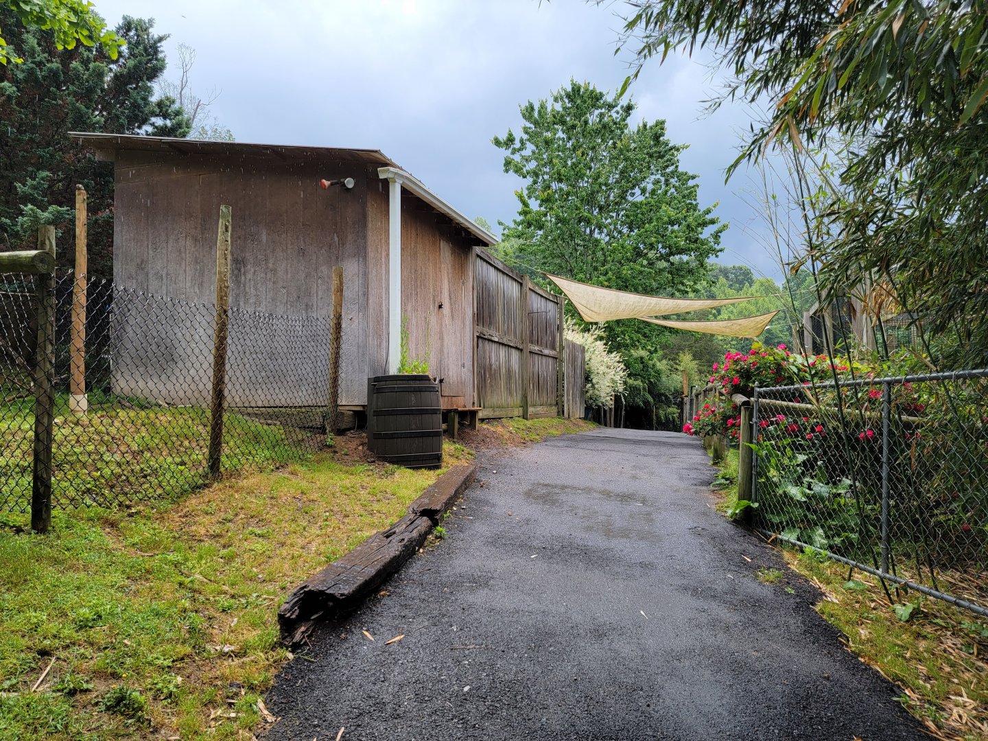 Creation Kingdom - Path