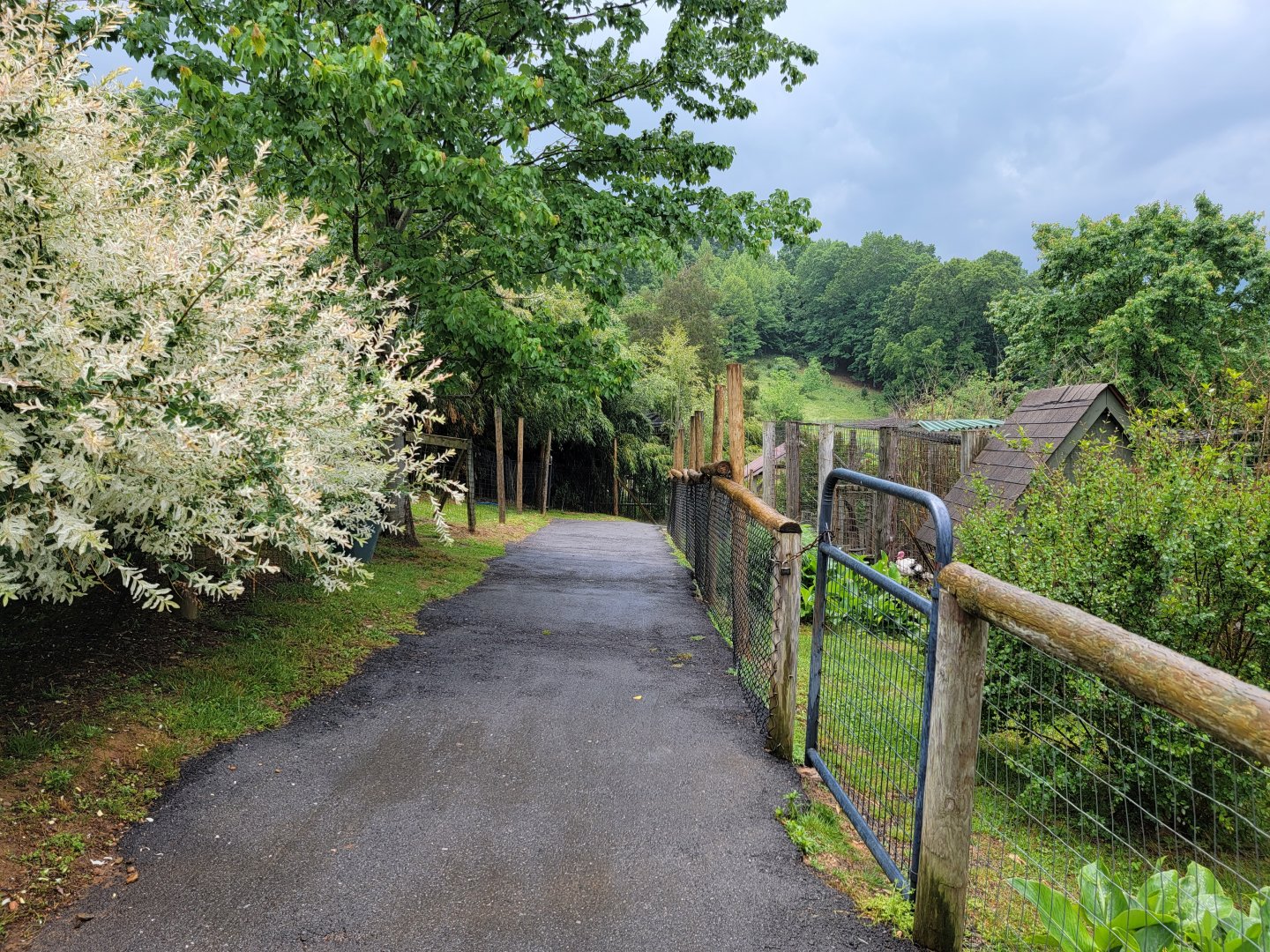 Creation Kingdom - Path