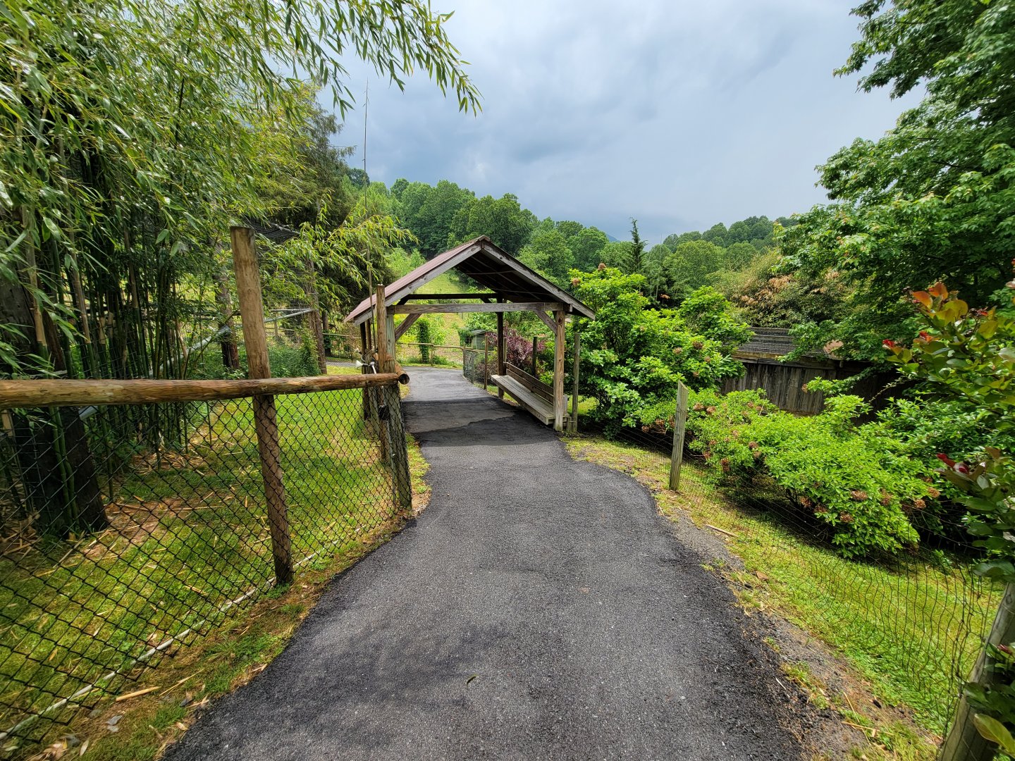 Creation Kingdom - Path