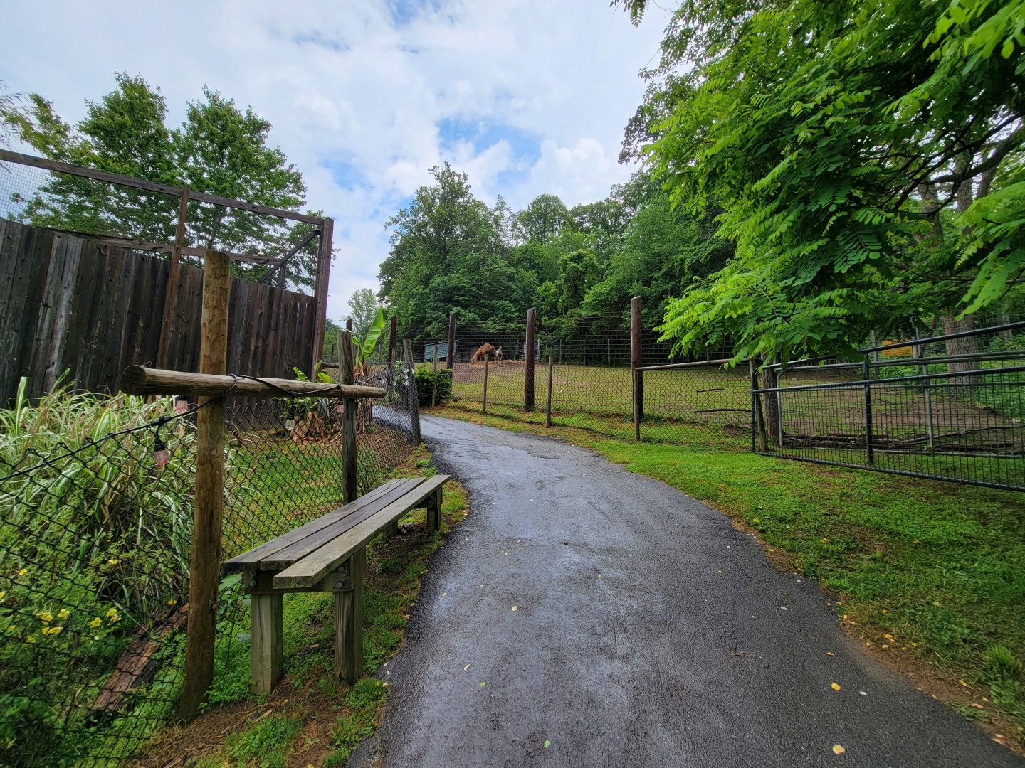 Creation Kingdom - Path