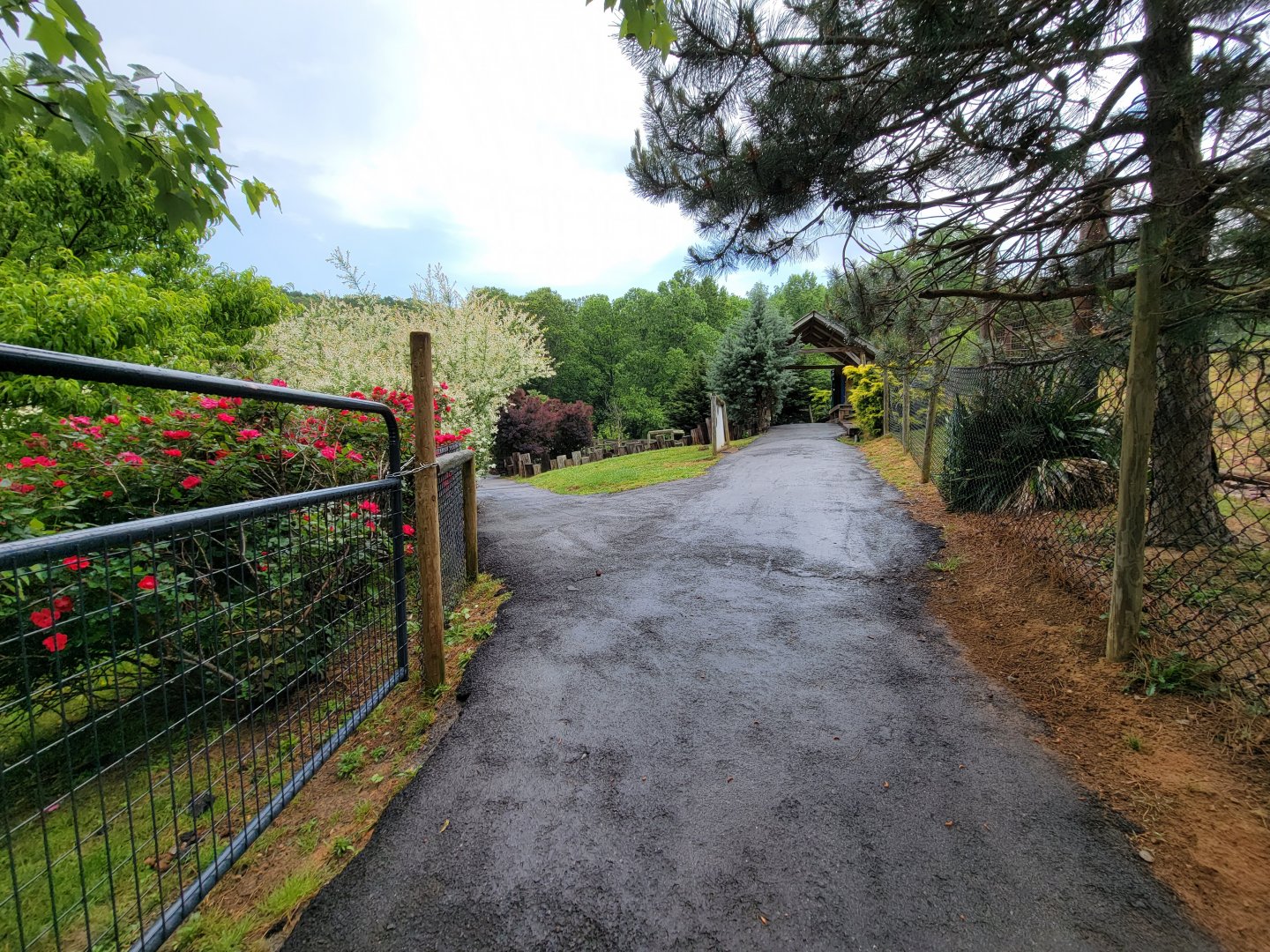 Creation Kingdom - Path