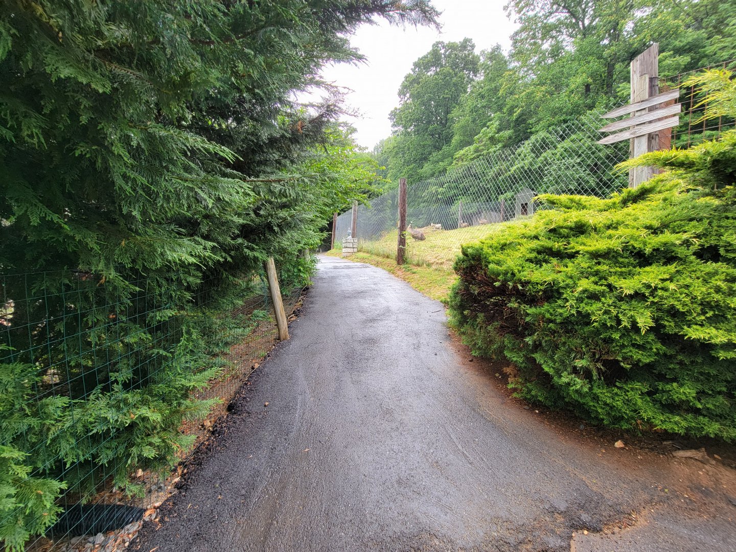 Creation Kingdom - Path