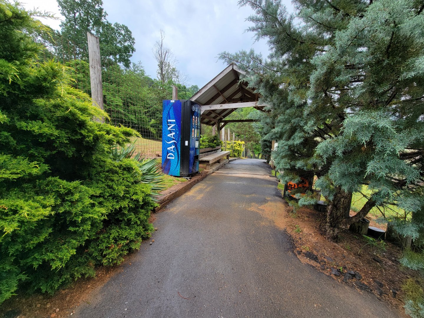 Creation Kingdom - Path