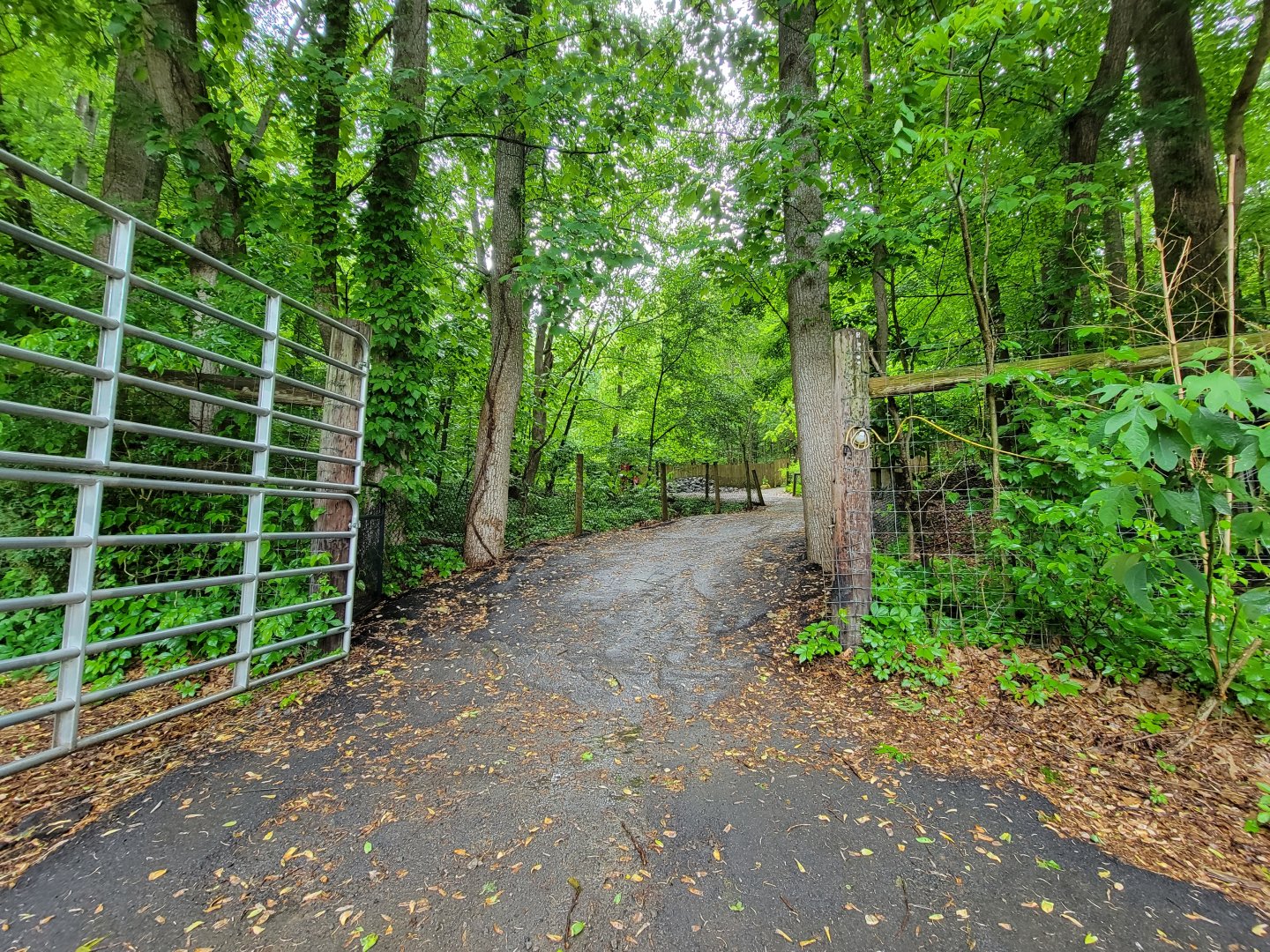 Creation Kingdom - Path