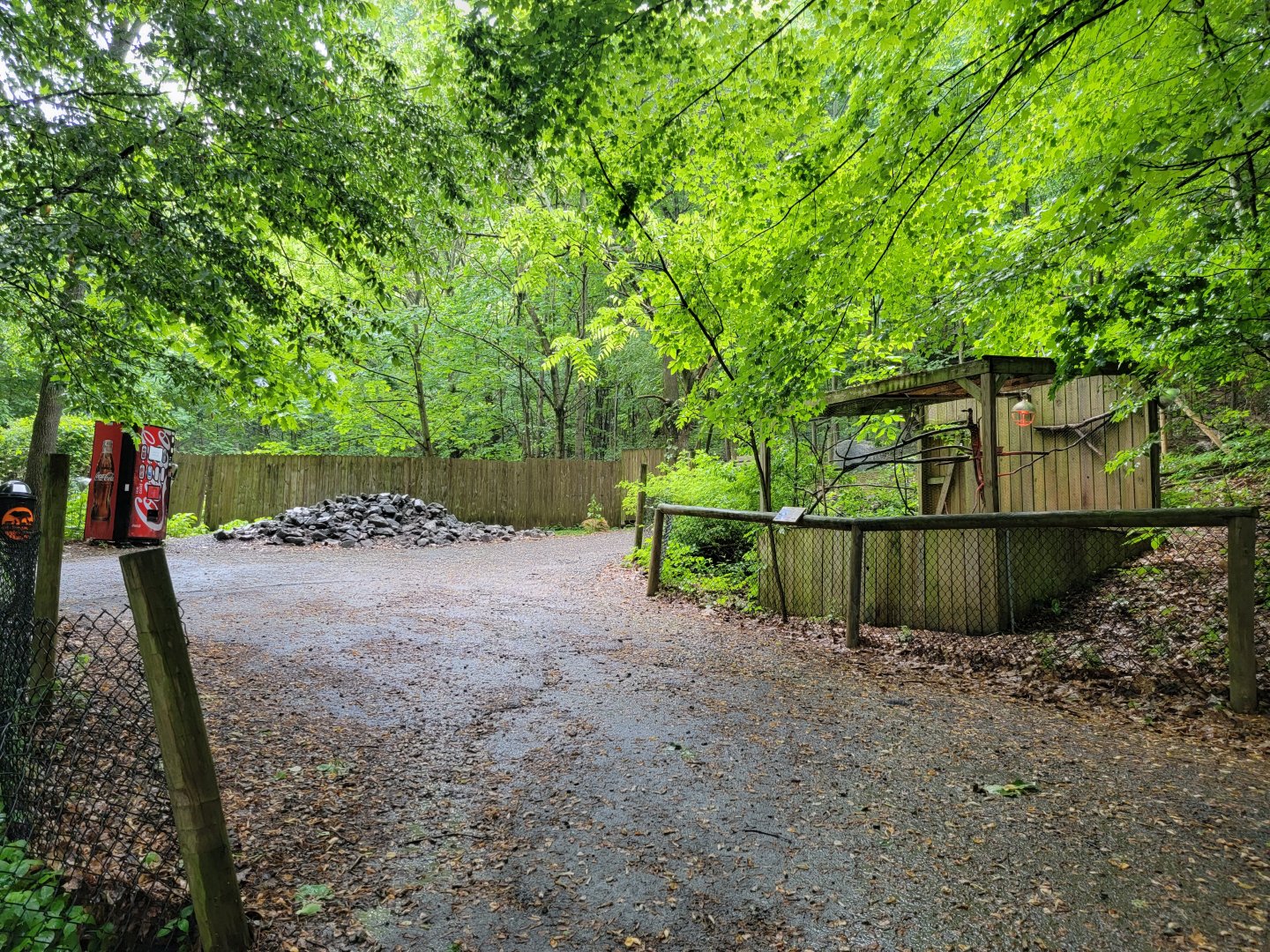 Creation Kingdom - Path