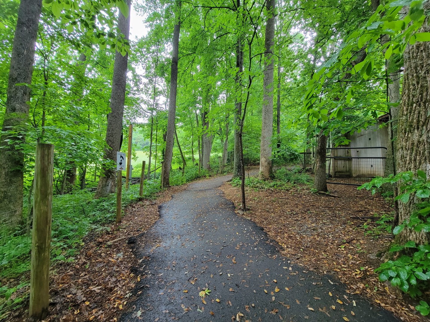 Creation Kingdom - Path