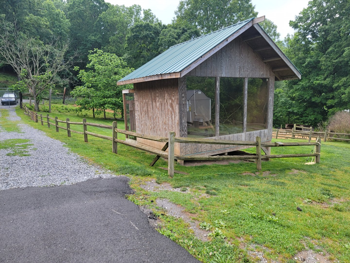 Creation Kingdom - Red ruffed lemur