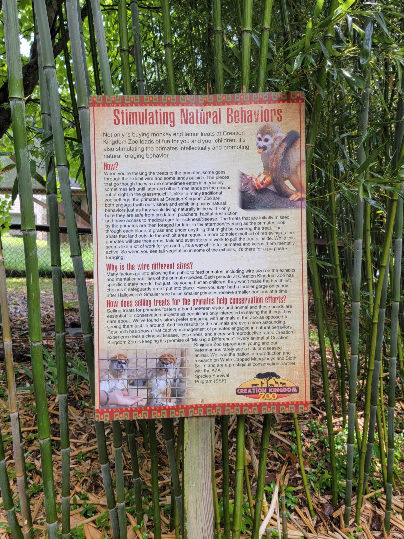 Creation Kingdom - "Stimulating natural behaviors"