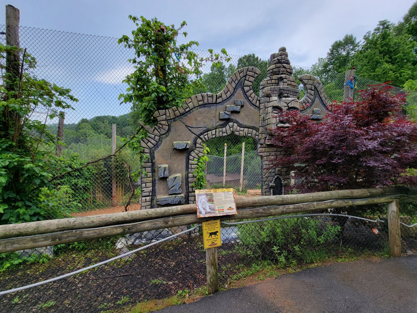 Creation Kingdom - Tiger (white)